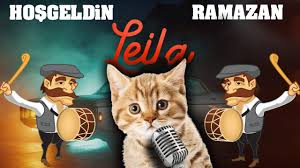Aciktim Reynmen Leila Parodi Konusan Kediler Youtube