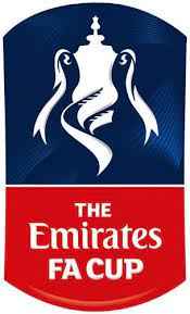 When designing a new logo you can be inspired by the visual logos found here. Emirates Fa Cup Png Free Emirates Fa Cup Png Transparent Images 135085 Pngio
