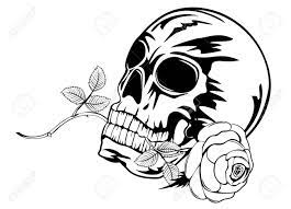 Voir plus d'idées sur le thème dessin tete de mort, dessin, tête de mort. Crane Image Avec Rose Dans Les Dents Clip Art Libres De Droits Vecteurs Et Illustration Image 15092517