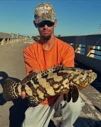 Fun-size Poonies 🎣🔥 #fishing #fish #fishinglife #nature #sea #outdoors  #bassfishing #catchandrelease #pesca #photography #hunting #flyfishing  #fisherman #travel #bass #fishingtrip #angler #ocean #like #boat #beach  #tarpon #nlbn #photooftheday ...