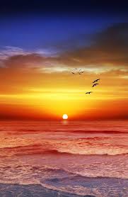 Hd to 4k quality, ready for. Beautiful Sunset Home Facebook