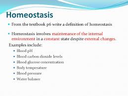 Homeostasis And Negative Feedback Ppt Video Online Download