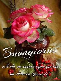 Buongiorno immagini fiori per whatsapp. Fiori Whatsapp Immagini Di Buongiorno