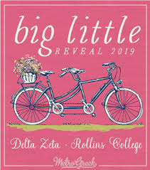 A list of active collegiate chapters and colonies of delta zeta sorority. 1117 Delta Zeta Big Little Reveal Bicycle T Shirt Greek Shirts