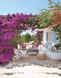 Check spelling or type a new query. 15 Plantas Para Jardin Resistentes Al Sol Y Llenas De Color