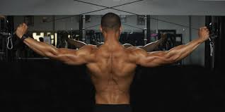 Best Back Workout Routines Fitness Workouts