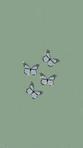 Green Butterfly Aesthetic Wallpaper