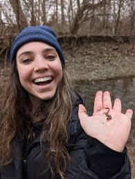 Alexander Roller-Knapp