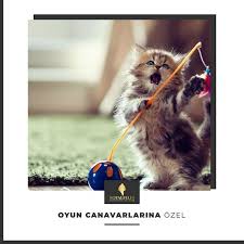Oyun Canavarlarina Ozel Royalfeles Kedi Cat Kedikumu Catlitter Superlightcatlitter Tozsuz Temiz Pati 2020 Canavarlar Kedi Oyun