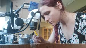 Students explore diverse interests through Summer Undergraduate Scholars  Program