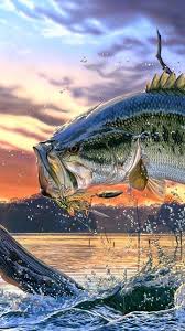 Perfect for the bass fishing america lover! Bass Fishing Wallpaper Backgrounds Wallpapers Cave Desktop Background