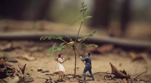 Minipaint is free online image editor using html5. Bikin Foto Pre Wedding Jadi Miniatur Tertarik Mencoba Citizen6 Liputan6 Com