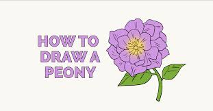 We did not find results for: How To Draw A Peony Really Easy Drawing Tutorial