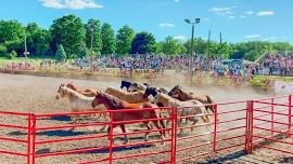 Kendall County Fair