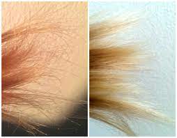 If you colour your hair regularly then it's best to avoid washing your hair every day to keep your colour from fading and your strands from becoming parched. 7 Tips For Taking Care Of Long Hair Natural Or Dyed Bellatory