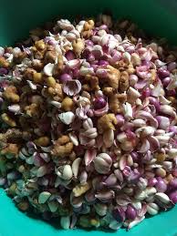 Image result for Aframomum corrorima