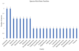 Image result for Ethulia vernonioides