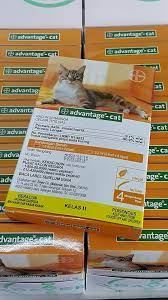 Obat kutu kucing paling ampuh dan cara pakai. Cats Wonderland Antara Ubat Kutu Kucing Terbaik Di Facebook