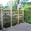 Pflanzen garten 59 and sichtschutz garten pflanzen 247795. 1