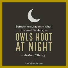 How to fletch your arrows with owl feathers, because owls fly silently, so maybe your arrows will, too. 99 Owl Quotes Sayings Captions They Re A Hoot Listcaboodle