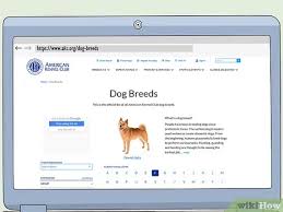 Your dogs papers are usually the fiirst document. 3 Ways To Register A Dog With The Akc Wikihow