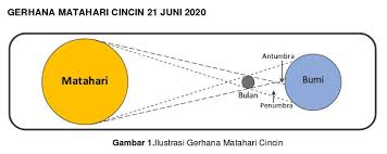 Istilah ini paling sering digunakan. Gerhana Matahari Cincin Bisa Dilihat Di 432 Kota Di Indonesia
