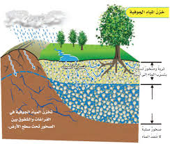 منهاجي متعة التعليم الهادف أين يوجد الماء