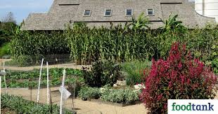 There is a rock garden, perennial garden. Villandry Garden In Front Of Barn And Silo Social Food Tank