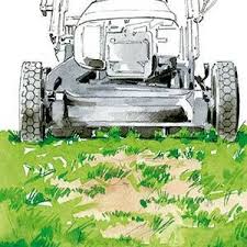 Epingle Sur Permaculture