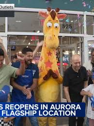 Image result for Aurora White 2010 HS