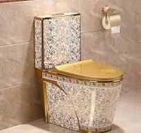 Amazon.com: Dual Flush Toilet Gold Plating Design,Universal ...