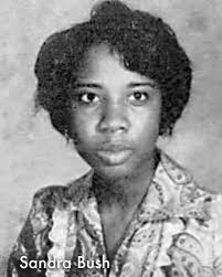 The Reporter's Notebook