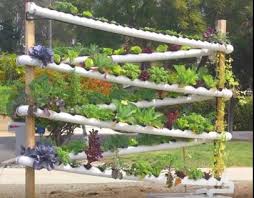 Check spelling or type a new query. 390 Hydroponics Ideas Hydroponics Aquaponics Hydroponic Gardening