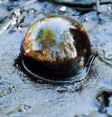 LACMA Has Tar Trouble, and a Former Director is "Baffled" by Zumthor Project