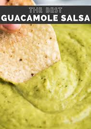 The Best Gaucamole Salsa In 2020 Guacamole Salsa Guacamole Guacamole Salsa Recipe