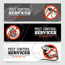 We offer pest control services for both domestic and commercial properties, carrying out the work in a discreet manner using unmarked. Pest Control Newcastle Newcastle Pest Controller