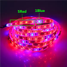 Check spelling or type a new query. Lamps Lighting Ceiling Fans 1m Grow Led Strip Strip For Growing Plants Indoor Growing 24v 12w Home Garden