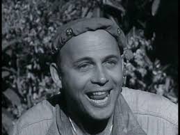 Successful series and main cast of classic television shows