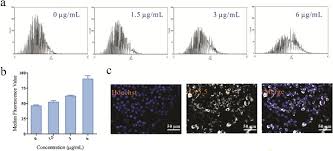 We did not find results for: Cy5 5 Msa G250 Nanoparticles Cmgnps Induce M1 Polarity Of Raw264 7 Macrophage Cells Via Tlr4 Dependent Manner Sciencedirect
