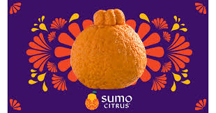 Check spelling or type a new query. Something Big Is Coming Sumo Citrus Season Is Almost Here