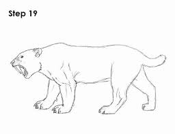 Saber Tooth Tiger Coloring Page Elegant Smilodon Pages Coloring Pages In 2020 Smilodon Sabertooth Tiger Drawing
