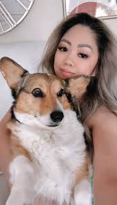 Corgi clothing and accessories online