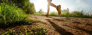 A health and wellness trip can help you lose weight, lower your blood pressure, and more. Disruption In Health Wellness News More Wein Plus