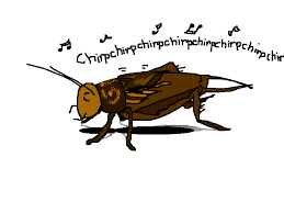 Weekend Diversion Is This An Amazing Chorus Of Slowed Down Crickets Scienceblogs