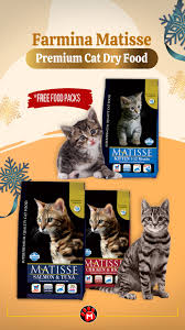 farmina matisse premium cat dry food dry cat food cat food cats