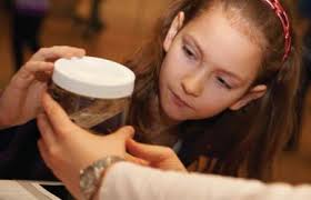 ROM Annual Report_Full_2011-2012 merged.indd