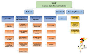 Organization Sarawak Data Science Institute