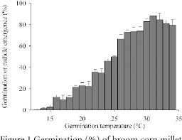 Figure 1 From Biology And Survival Of Broom Corn Millet