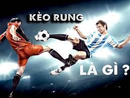 Ngụ ý chỉ khi không ➤kết luận: Keo Rung La Gi Cach Báº¯t Keo Rung Chinh Xac Äƒn Tiá»n 100