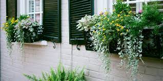 Flower boxes and window box planters are great for gardening in small spaces! How To Hang Window Boxes Martha Stewart
